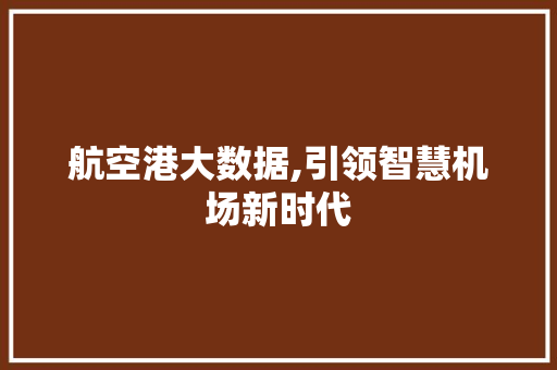 航空港大数据,引领智慧机场新时代