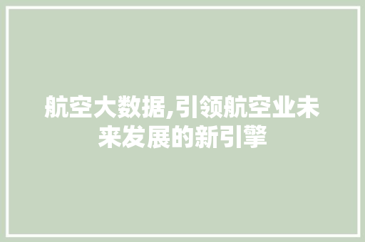 航空大数据,引领航空业未来发展的新引擎