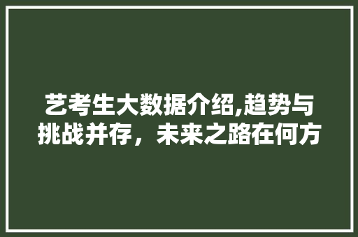 艺考生大数据介绍,趋势与挑战并存，未来之路在何方