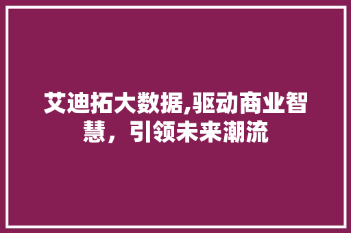 艾迪拓大数据,驱动商业智慧，引领未来潮流