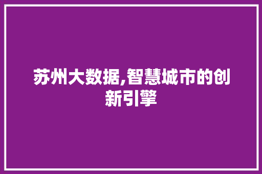 苏州大数据,智慧城市的创新引擎 百度SEO