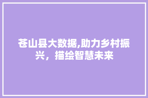 苍山县大数据,助力乡村振兴，描绘智慧未来 搜狗SEO
