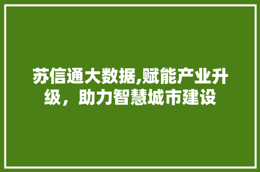 苏信通大数据,赋能产业升级，助力智慧城市建设