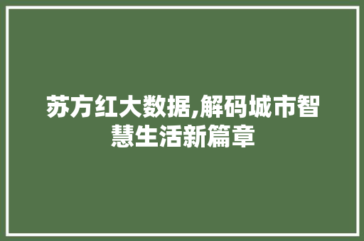 苏方红大数据,解码城市智慧生活新篇章