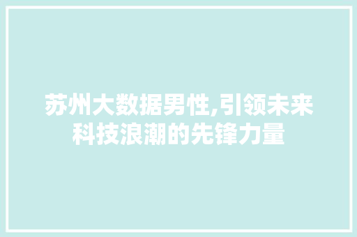 苏州大数据男性,引领未来科技浪潮的先锋力量