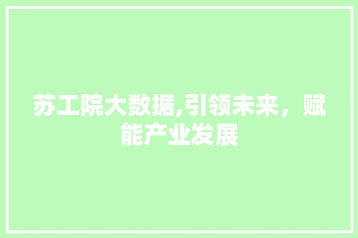 苏工院大数据,引领未来，赋能产业发展