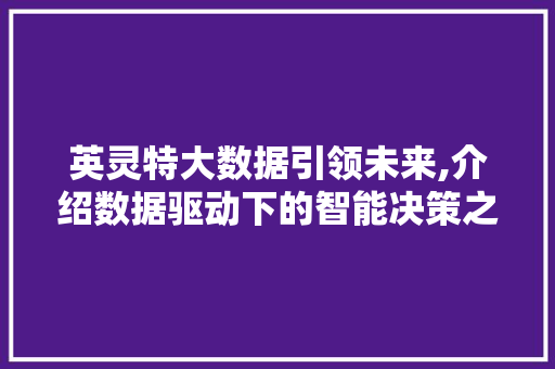 英灵特大数据引领未来,介绍数据驱动下的智能决策之路