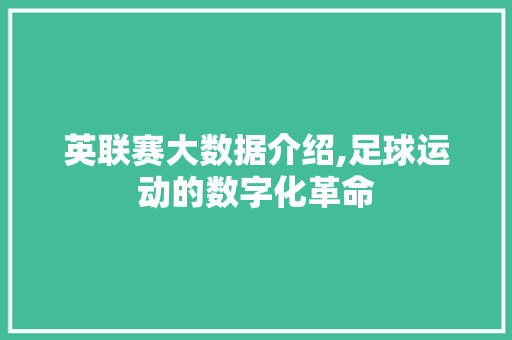 英联赛大数据介绍,足球运动的数字化革命