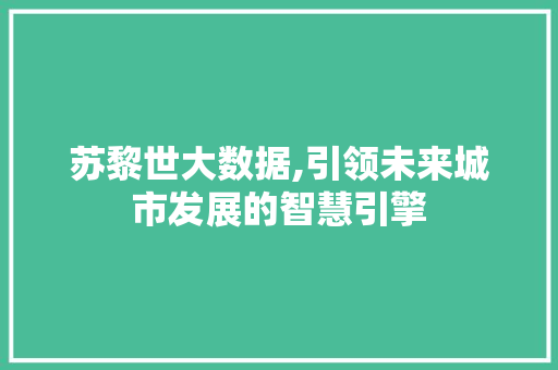 苏黎世大数据,引领未来城市发展的智慧引擎