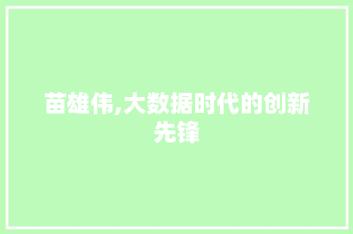 苗雄伟,大数据时代的创新先锋