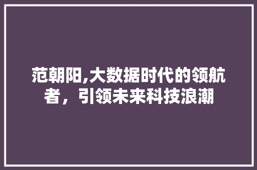 范朝阳,大数据时代的领航者，引领未来科技浪潮