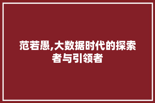 范若愚,大数据时代的探索者与引领者