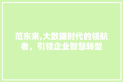 范东来,大数据时代的领航者，引领企业智慧转型