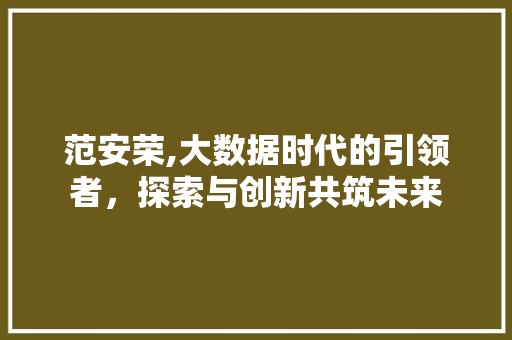 范安荣,大数据时代的引领者，探索与创新共筑未来