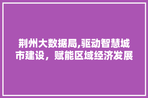荆州大数据局,驱动智慧城市建设，赋能区域经济发展