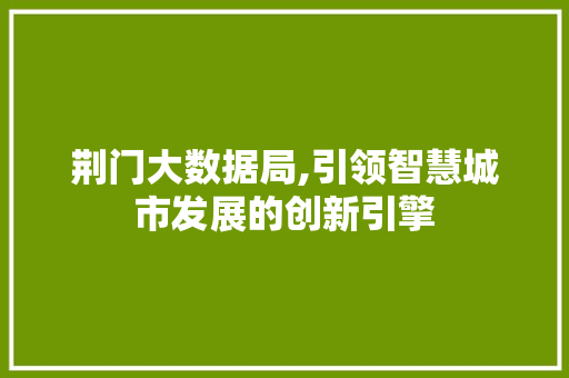 荆门大数据局,引领智慧城市发展的创新引擎