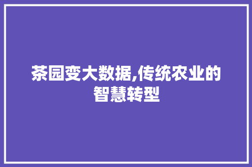 茶园变大数据,传统农业的智慧转型