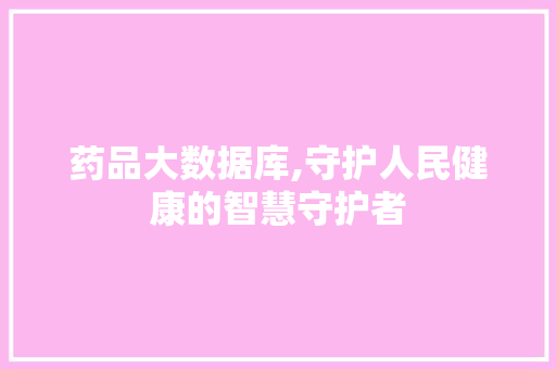 药品大数据库,守护人民健康的智慧守护者