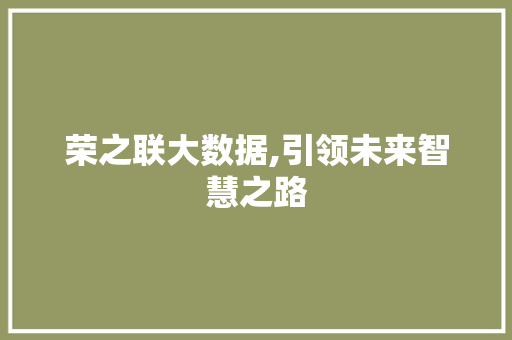 荣之联大数据,引领未来智慧之路