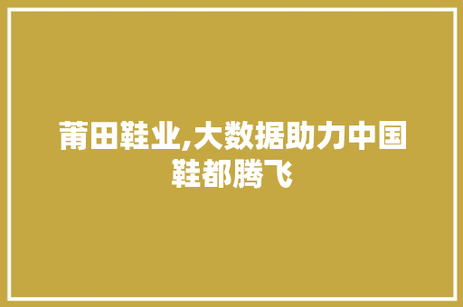 莆田鞋业,大数据助力中国鞋都腾飞