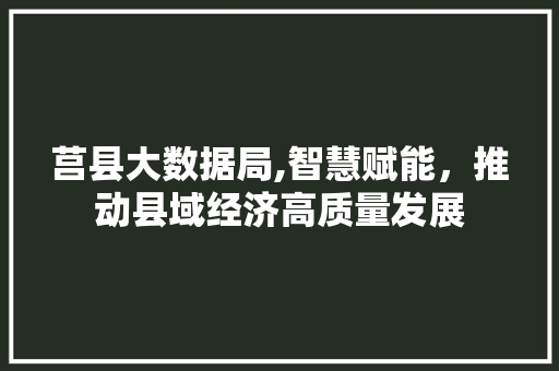 莒县大数据局,智慧赋能，推动县域经济高质量发展