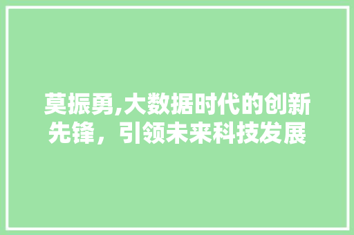 莫振勇,大数据时代的创新先锋，引领未来科技发展