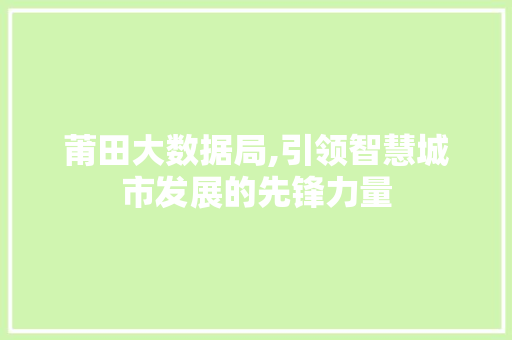 莆田大数据局,引领智慧城市发展的先锋力量 SEO关键词