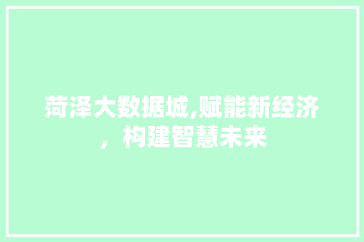 菏泽大数据城,赋能新经济，构建智慧未来