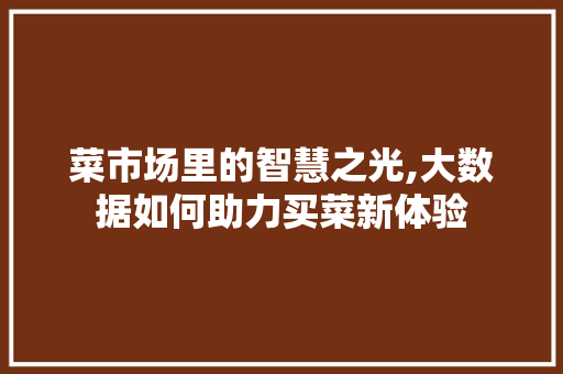 菜市场里的智慧之光,大数据如何助力买菜新体验 SEO关键词
