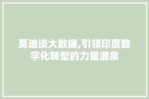 莫迪谈大数据,引领印度数字化转型的力量源泉