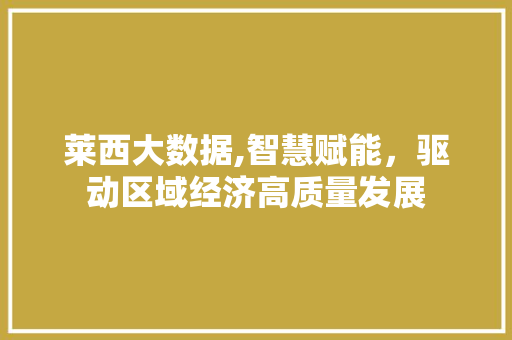 莱西大数据,智慧赋能，驱动区域经济高质量发展