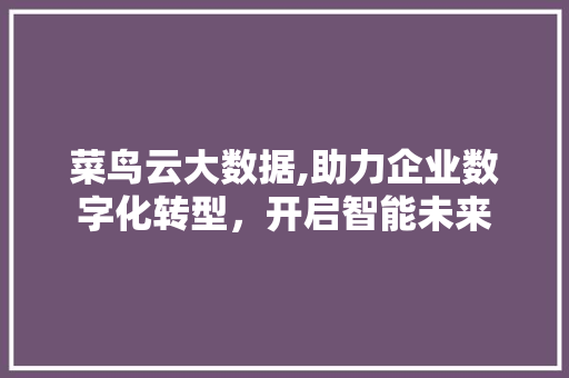 菜鸟云大数据,助力企业数字化转型，开启智能未来