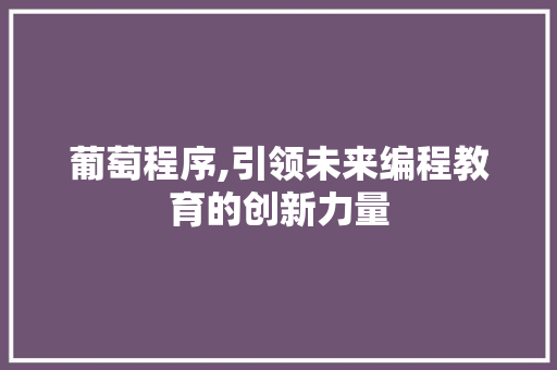葡萄程序,引领未来编程教育的创新力量 网站建设公司