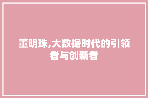 董明珠,大数据时代的引领者与创新者