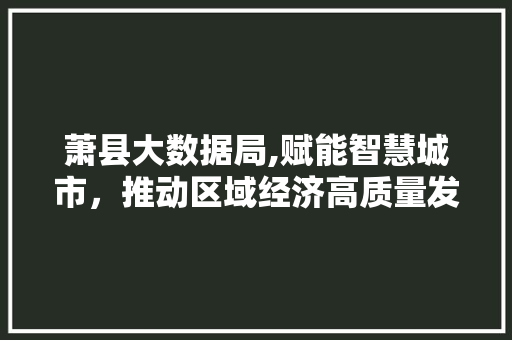 萧县大数据局,赋能智慧城市，推动区域经济高质量发展