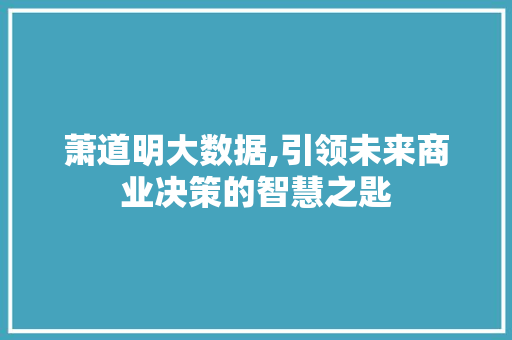 萧道明大数据,引领未来商业决策的智慧之匙 百度SEO