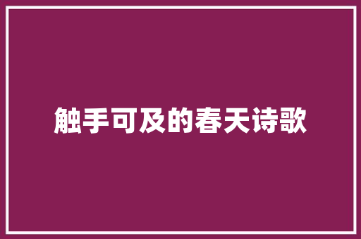 企业网站seo优化是什么意思_什么是seo?做好企业网站优化的基本途径有哪些?。