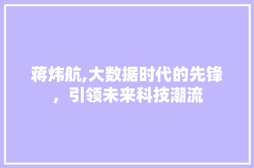 蒋炜航,大数据时代的先锋，引领未来科技潮流