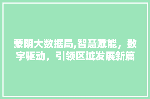 蒙阴大数据局,智慧赋能，数字驱动，引领区域发展新篇章