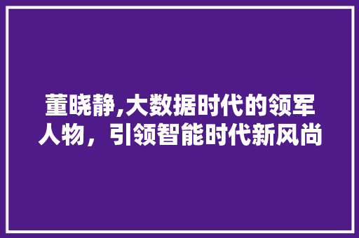 董晓静,大数据时代的领军人物，引领智能时代新风尚 百度SEO