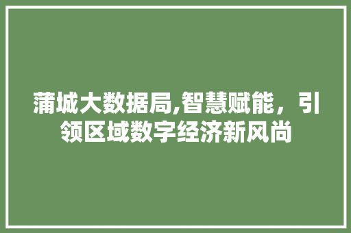 蒲城大数据局,智慧赋能，引领区域数字经济新风尚