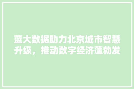 蓝大数据助力北京城市智慧升级，推动数字经济蓬勃发展