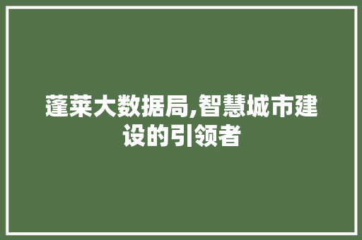 蓬莱大数据局,智慧城市建设的引领者 必应SEO