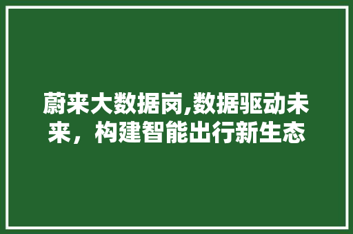 蔚来大数据岗,数据驱动未来，构建智能出行新生态