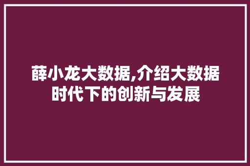 薛小龙大数据,介绍大数据时代下的创新与发展