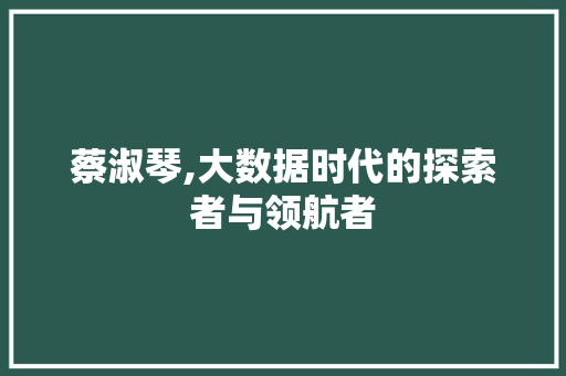 蔡淑琴,大数据时代的探索者与领航者