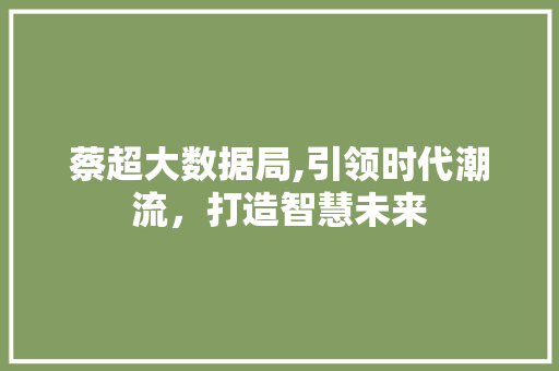 蔡超大数据局,引领时代潮流，打造智慧未来