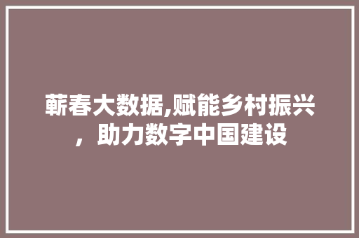 蕲春大数据,赋能乡村振兴，助力数字中国建设