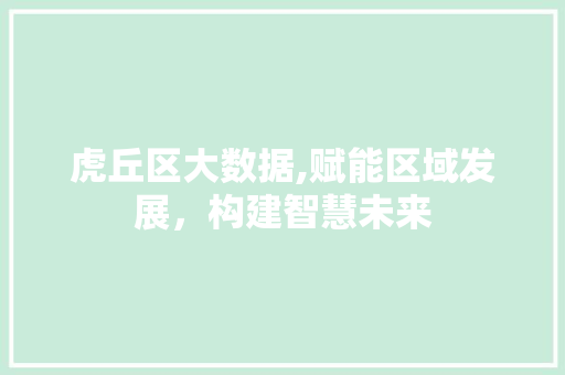 虎丘区大数据,赋能区域发展，构建智慧未来