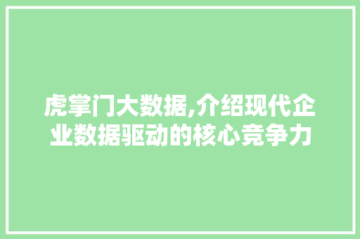 虎掌门大数据,介绍现代企业数据驱动的核心竞争力